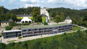 Schatz.Kammer Burg Kreuzen